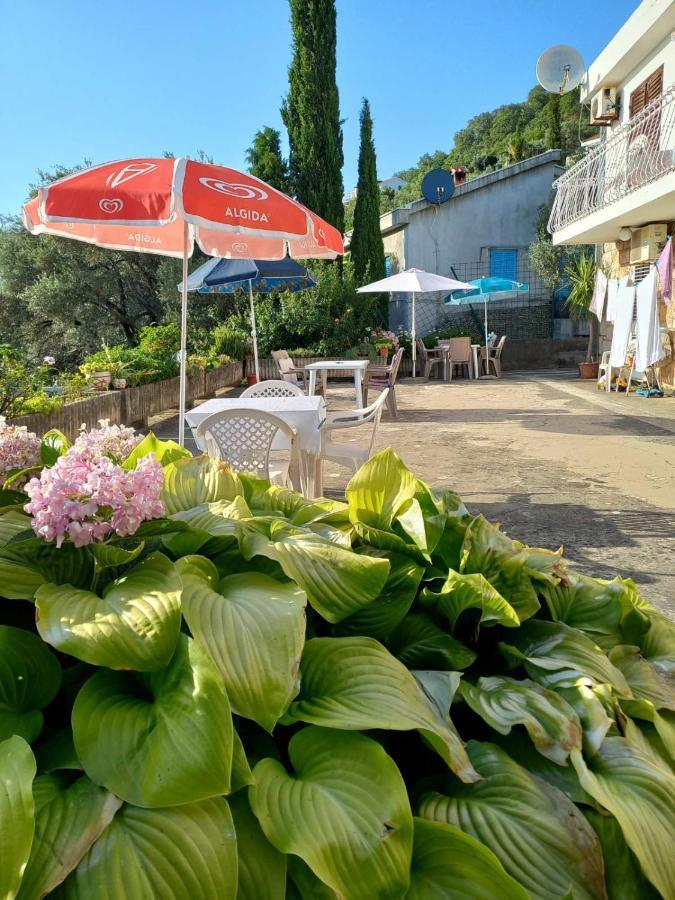 Apartments Andjus Sveti Stefan Εξωτερικό φωτογραφία